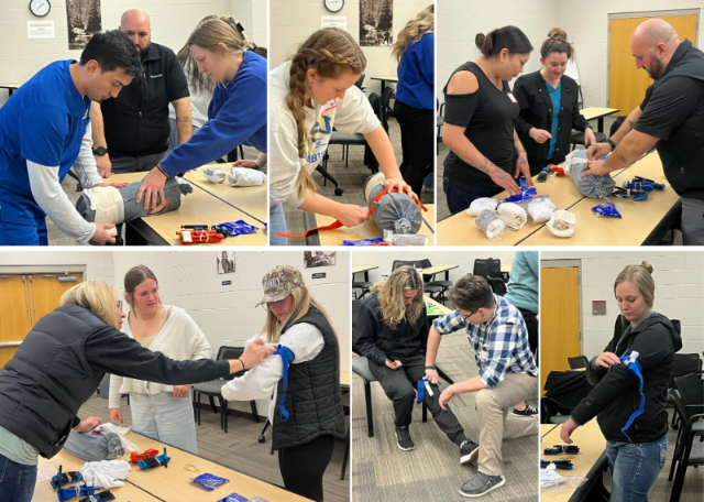 STBCollage - Copy - Copy - Copy