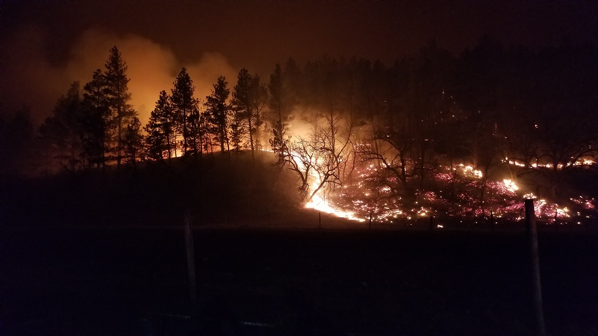 WhisperingPinesImageWL3